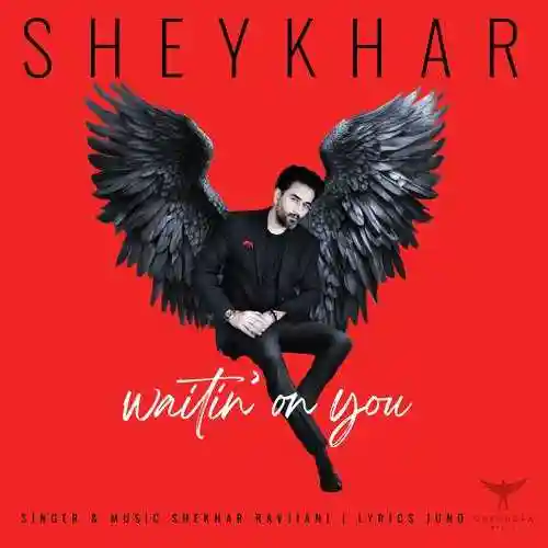 Ishq Mehfooz (Waiting On You) - Shekhar Ravjiani 2024 cover image