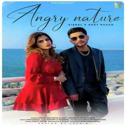 Angry Nature - Addy Nagar 2021 cover image