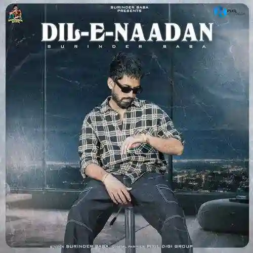 Dil E Nadaan - Surinder Baba 2024 cover image