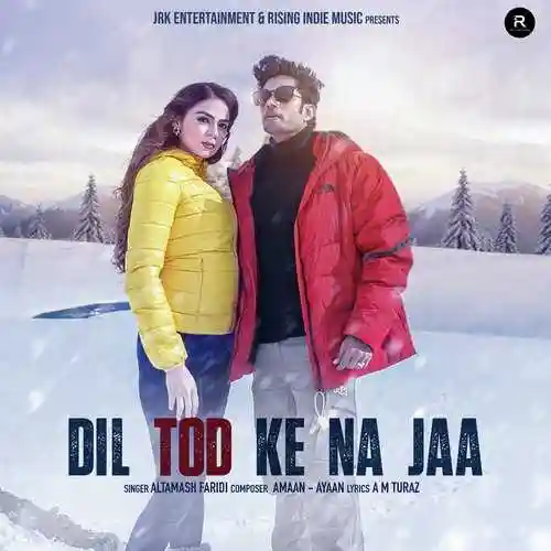 Dil Tod Ke Na Jaa - Altamash Faridi 2023 cover image