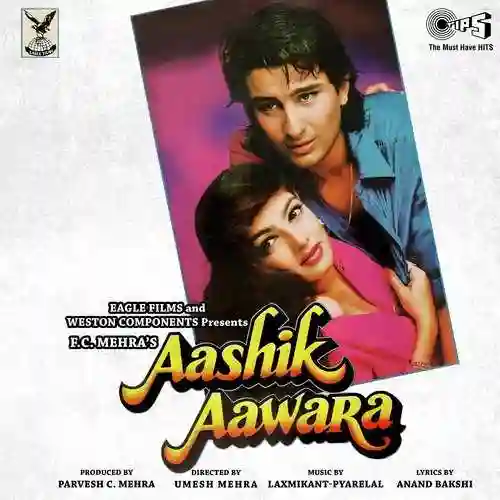 Tere Aashik Hai Hum cover image