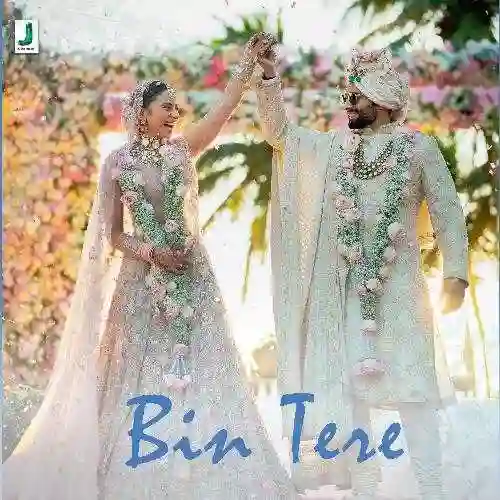 Bin Tere - Tanishk Bagchi 2024 cover image