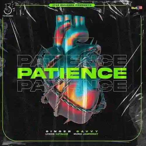 Patience - Gavvy cover image