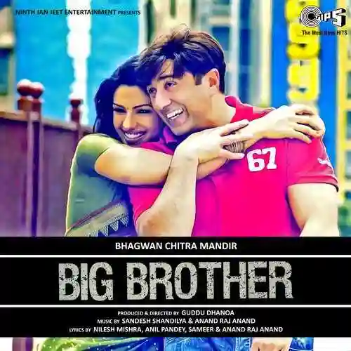 Big Brother 2007 cover image