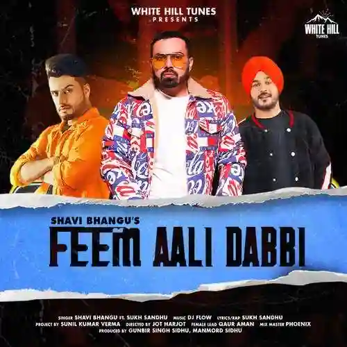 Feem Aali Dabbi - Shavi Bhangu cover image