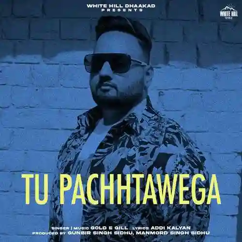 Tu Pachhtawega - Gold E Gill 2024 cover image
