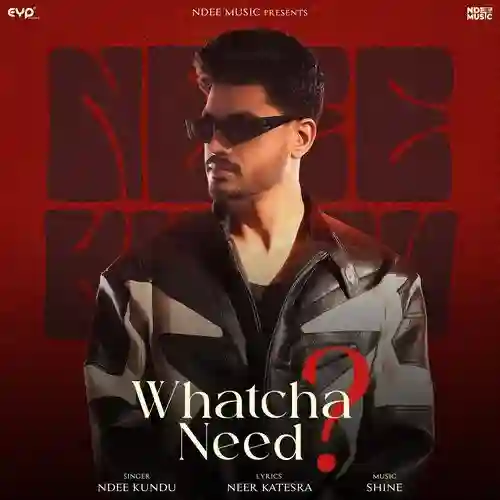 Whatcha Need - Ndee Kundu 2025 cover image