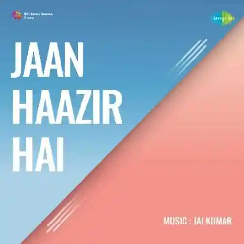 Jaan Haazir Hai 1975 cover image