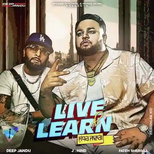 Live and  Learn  - Deep Jandu 2022 cover image