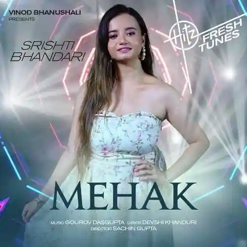 Mehak - Shrishti Bhandari cover image
