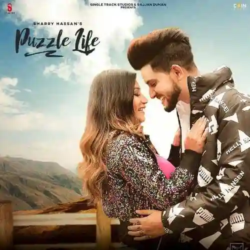 Puzzle Life - Sharry Hassan 2021 cover image