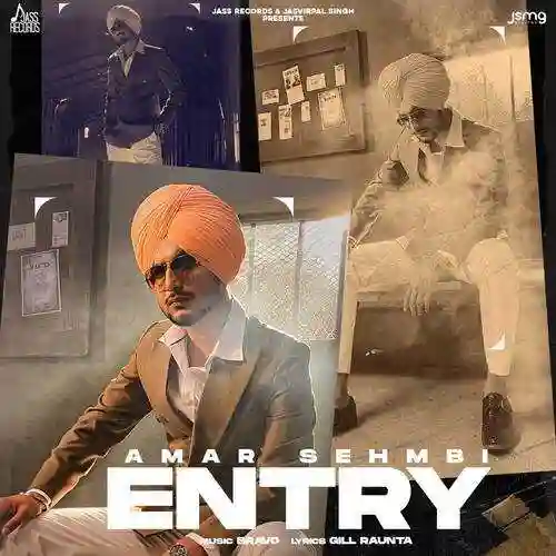 Entry - Amar Sehmbi cover image