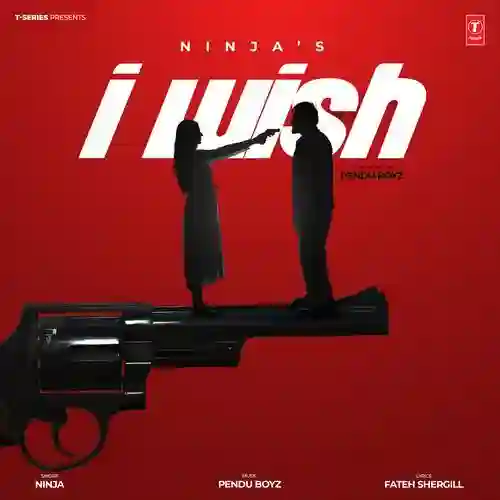 I Wish - Ninja 2024 cover image
