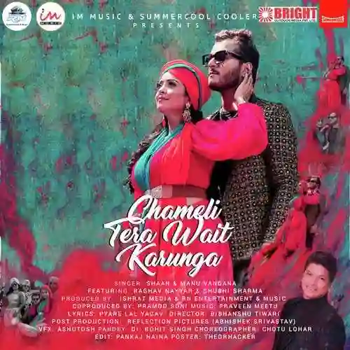 Chameli Tera Wait Karunga - Shaan 2022 cover image
