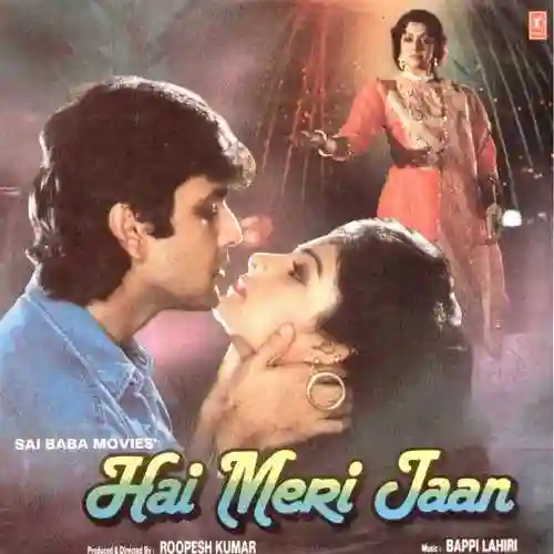 Hai Meri Jaan 1991 cover image