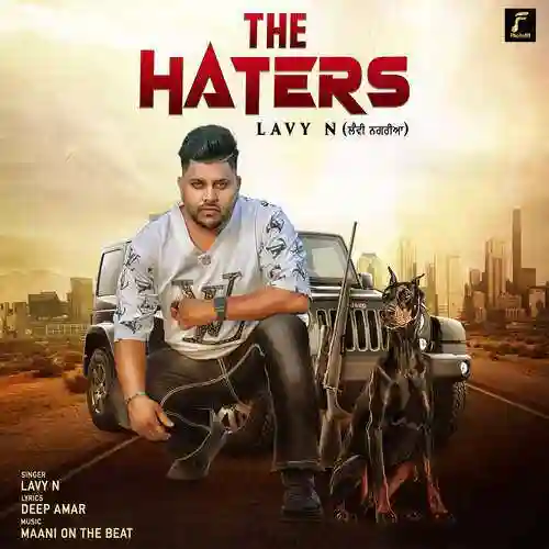 The Haters - Lavy N cover image