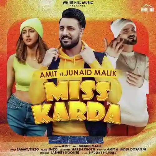 Miss Karda - Amit cover image
