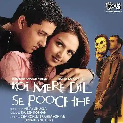 Koi Mere Dil Se Poochhe 2002 cover image