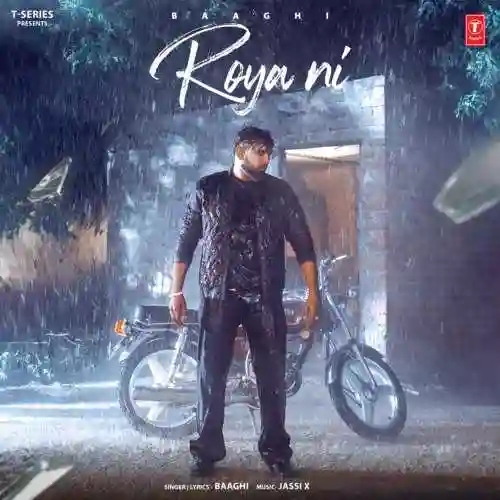 Roya Ni - Baaghi 2024 cover image