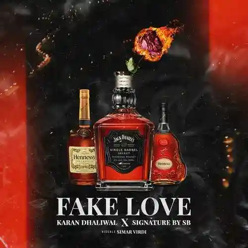 Fake Love - Karan Dhaliwal 2021 cover image