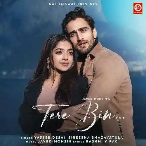 Tere Bin - Yasser Desai 2024 cover image