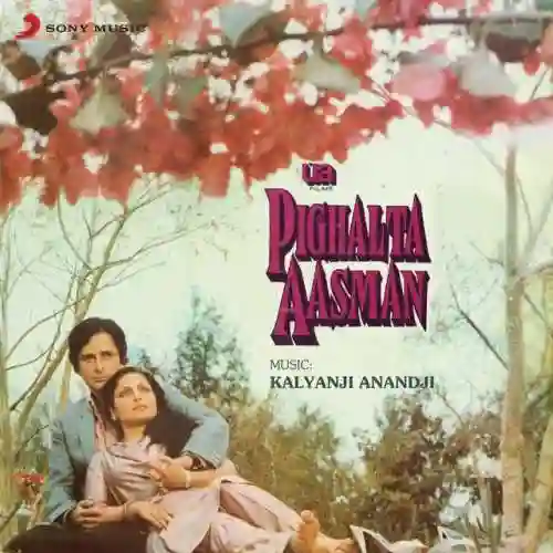 Tere Meri Prem Kahani cover image