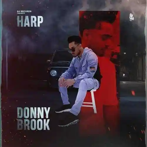 DONNYBROOK - Harp cover image