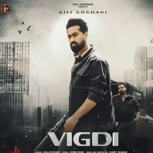 Vigdi - Gill Gogoani 2025 cover image