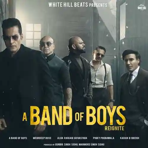 A Band of Boys Reignite 2024 cover