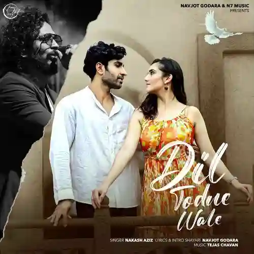 Dil Todne Wale - Nakash Aziz 2024 cover image