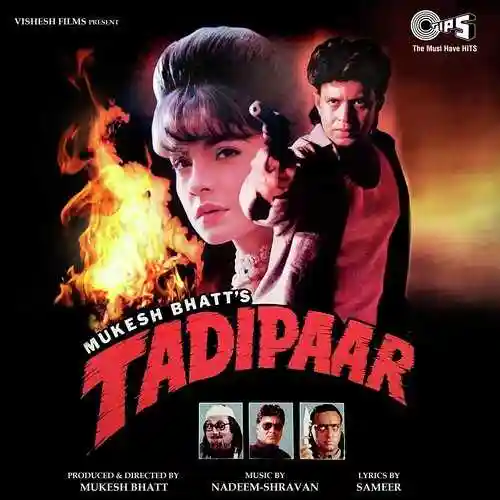 Tadipaar 1993 cover image
