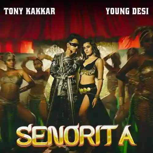 Senorita - Tony Kakkar 2023 cover image