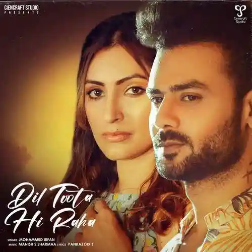 Dil Toota Hi Raha - Mohammed Irfan 2022 cover image