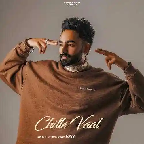Chitte Vaal - Davy 2024 cover image