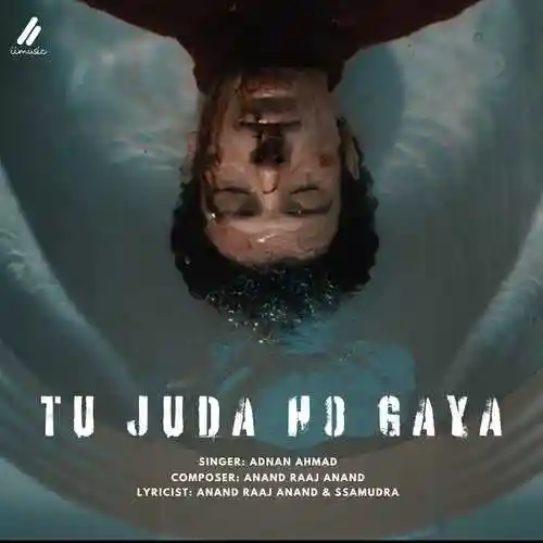 Tu Juda Ho Gaya - Anand Raaj Anand 2024 cover image