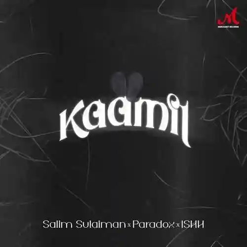 Kaamil - Paradox 2024 cover image