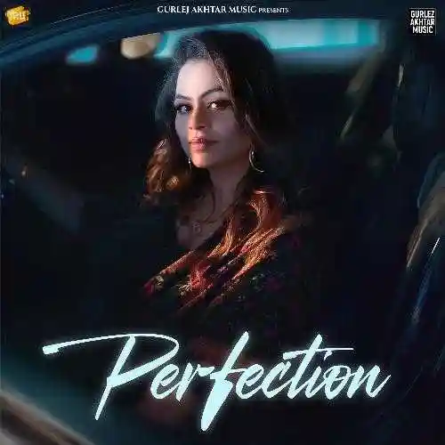 Perfection - Gurlej Akhtar 2024 cover image