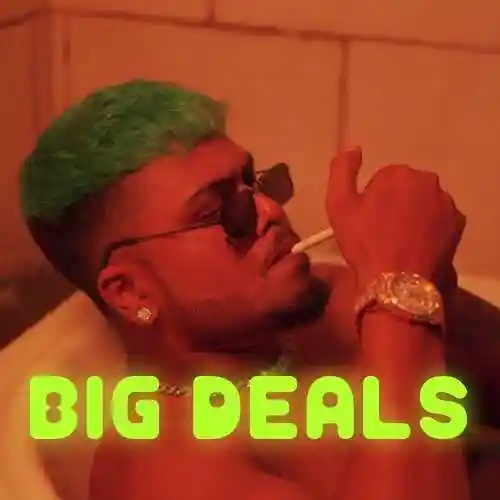 Big Deals - ZB 2022 cover image