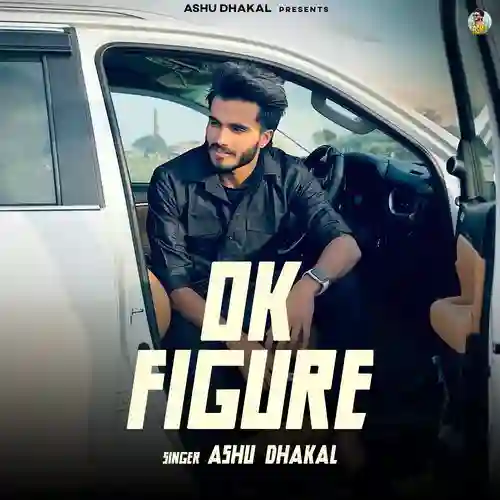 OK figure - Ashu Dhakal 2025 cover image