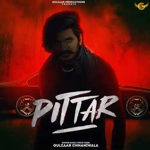 Pittar - Gulzaar Chhaniwala cover image