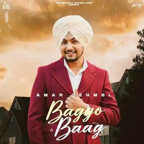 Baggo Baag - Amar Sehmbi 2022 cover image
