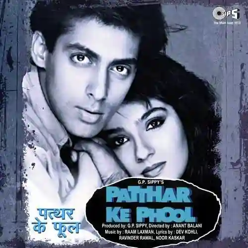 Patthar Ke Phool 1991 cover image