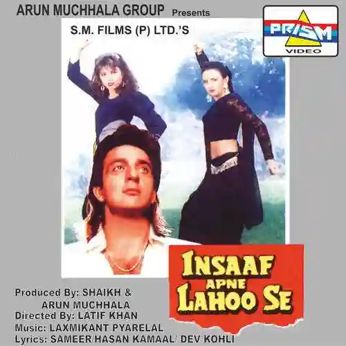 Insaaf Apne Lahoo Se 1994 cover image