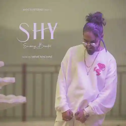 Shy - Emiway Bantai cover image