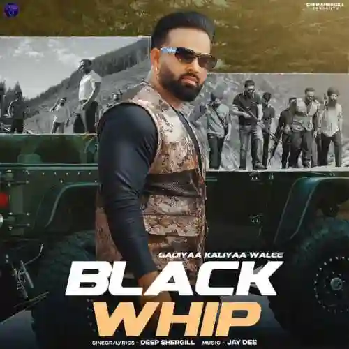 BLACK WHIP - Deep Shergill cover image