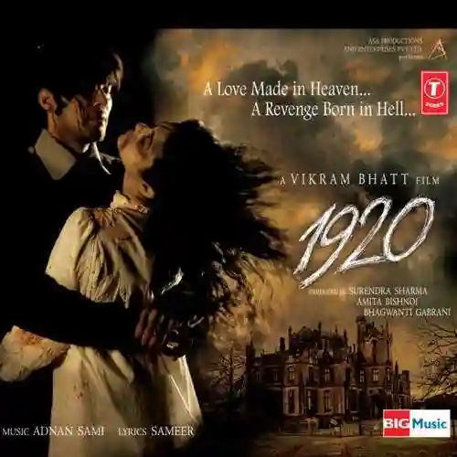 1920 2008 cover