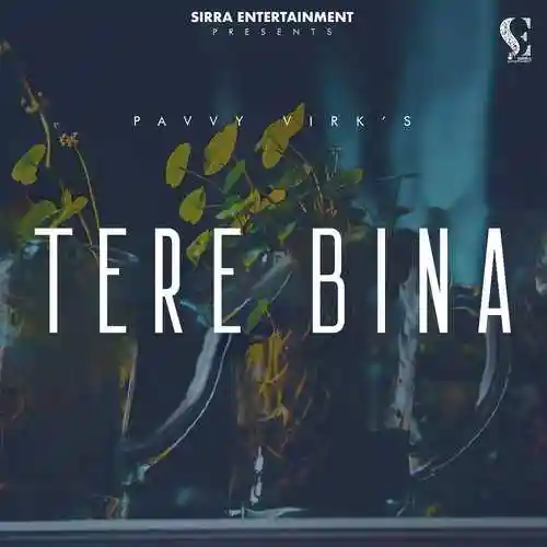 Tere Bina - Pavvy Virk cover image