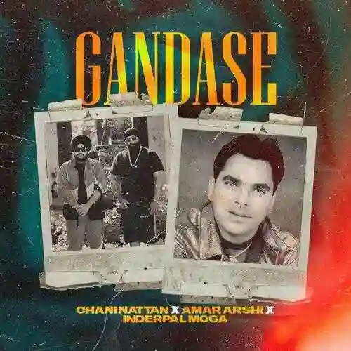Gandase - Chani Nattan cover image