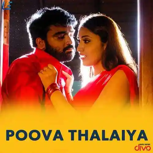 Solamannar cover image