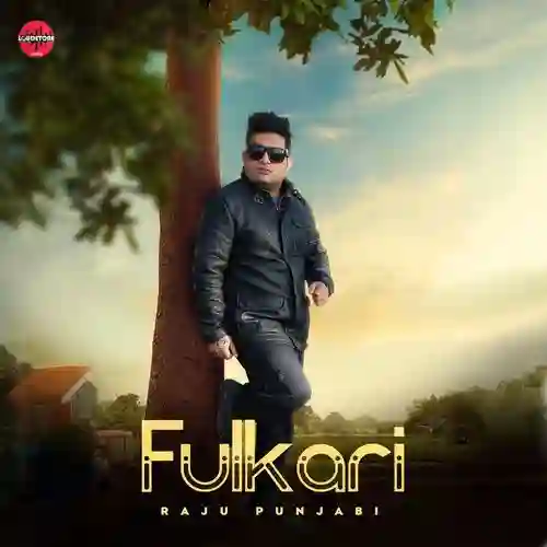 Fulkari - Raju Punjabi 2025 cover image